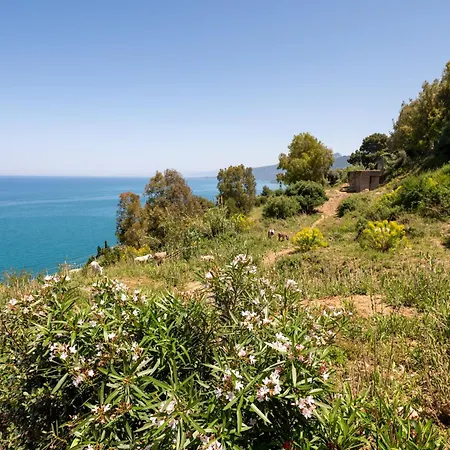 Apartment Cefalhome - Torre